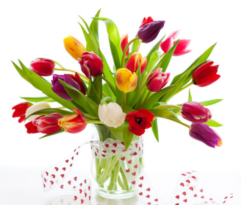 lily flowers in a vase