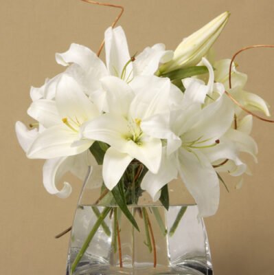 All White lily flowers by JMK Florist