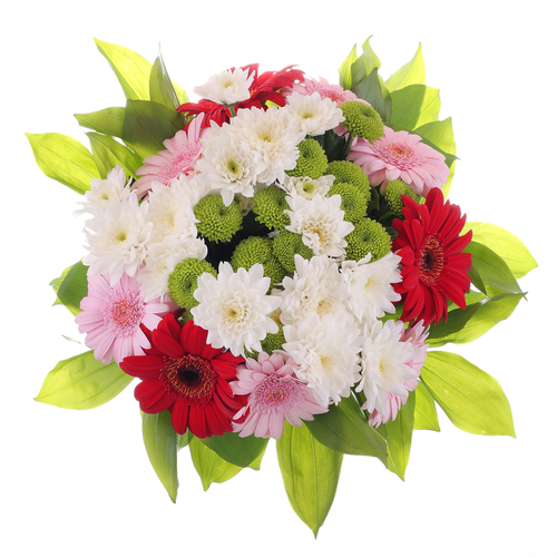 Come Around witth Dreams JMK Florist