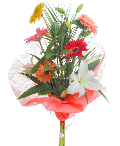 Extend the Life of Your Lilies