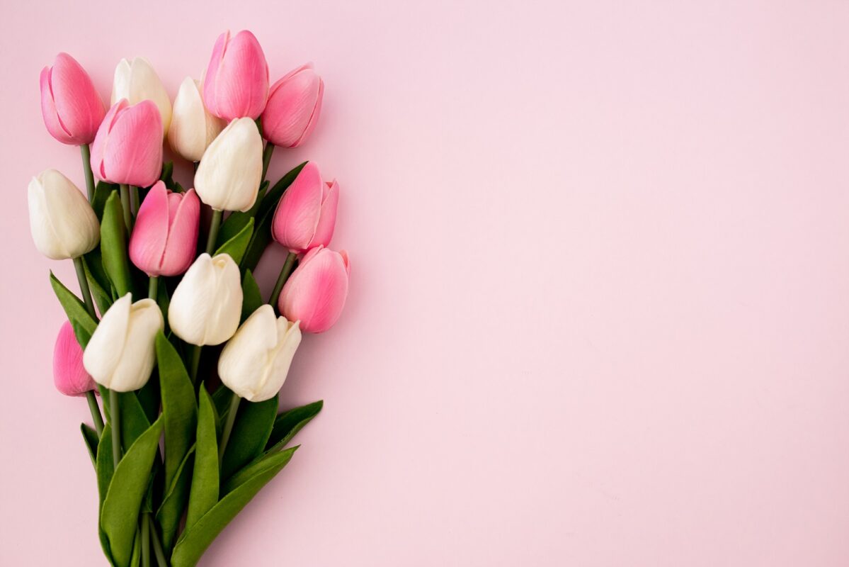 Why Tulips Are the Ideal Flower for Any Celebration