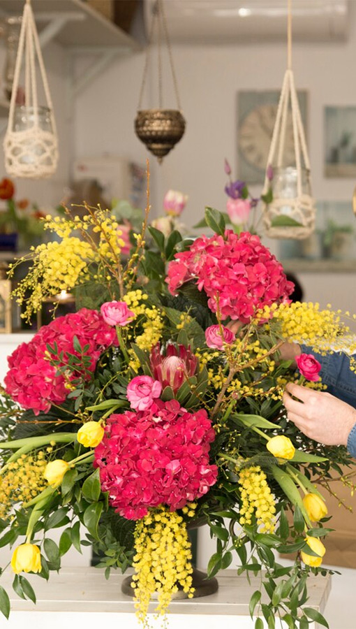 Our Special Occasion Collections