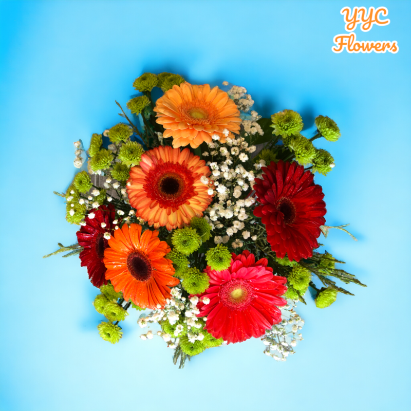 gerbera Same Day Flower Delivery Calgary