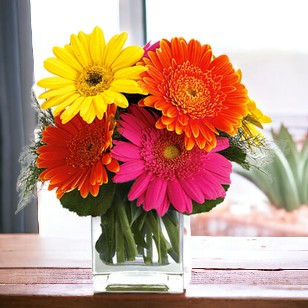 daisy flowers arrangement